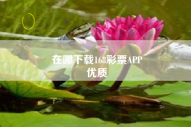 在哪下载168彩票APP
优质  第57张