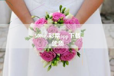 500vip彩票app下载
优质  第55张