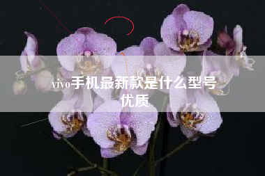 vivo手机最新款是什么型号
优质  第34张