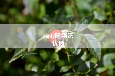 apply的用法
优质  第37张