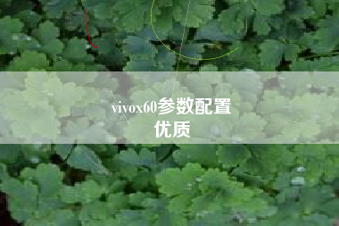 vivox60参数配置
优质  第33张