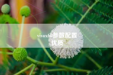 vivox60参数配置
优质  第32张