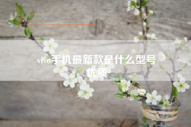 vivo手机最新款是什么型号
优质  第32张