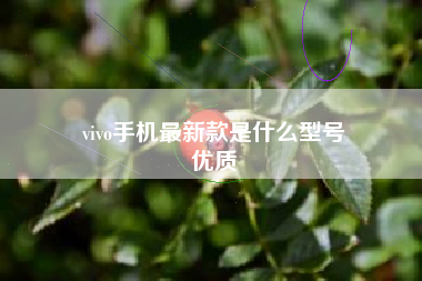 vivo手机最新款是什么型号
优质  第31张