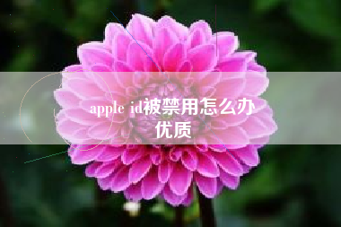 apple id被禁用怎么办
优质  第28张