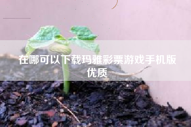 在哪可以下载玛雅彩票游戏手机版
优质  第45张