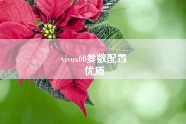 vivox60参数配置
优质  第30张