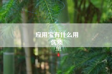 应用宝有什么用
优质  第51张