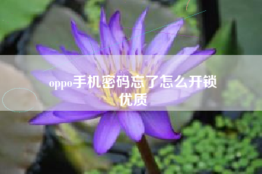 oppo手机密码忘了怎么开锁
优质  第43张