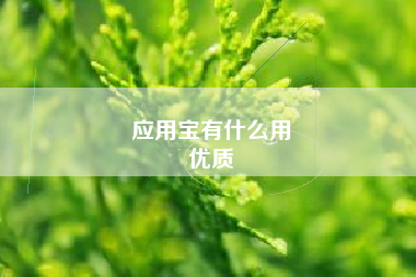 应用宝有什么用
优质  第50张