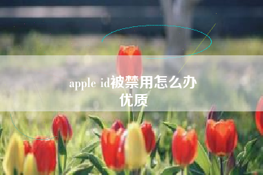 apple id被禁用怎么办
优质  第27张