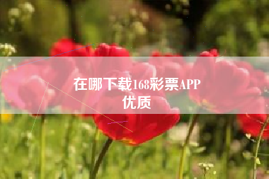 在哪下载168彩票APP
优质  第48张