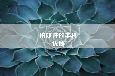 拍照好的手机
优质  第27张