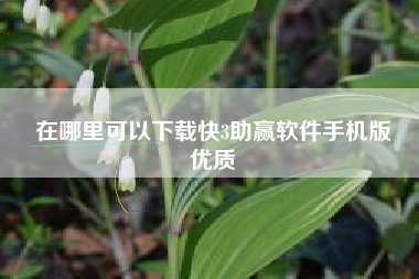 在哪里可以下载快3助赢软件手机版
优质  第25张