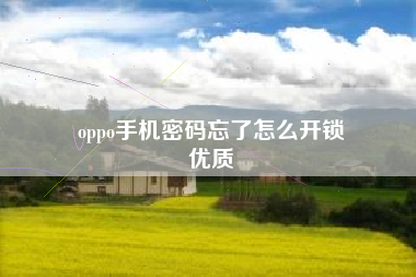 oppo手机密码忘了怎么开锁
优质  第42张