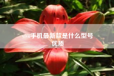 vivo手机最新款是什么型号
优质  第28张