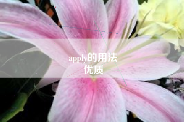 apply的用法
优质  第35张