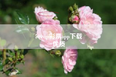 500vip彩票app下载
优质  第48张