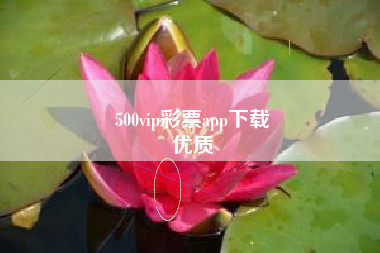 500vip彩票app下载
优质  第46张