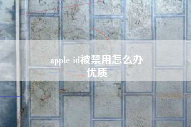 apple id被禁用怎么办
优质  第26张