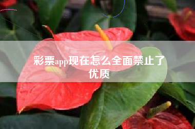 彩票app现在怎么全面禁止了
优质  第33张