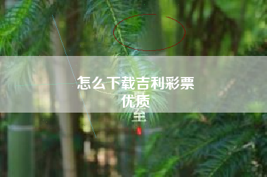 怎么下载吉利彩票
优质  第31张