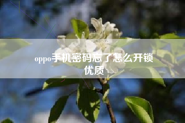 oppo手机密码忘了怎么开锁
优质  第40张