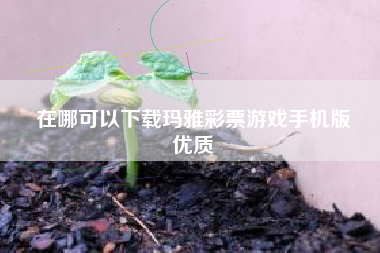 在哪可以下载玛雅彩票游戏手机版
优质  第40张