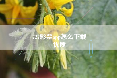 727彩票app怎么下载
优质  第38张