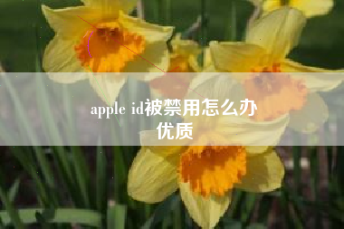 apple id被禁用怎么办
优质  第23张