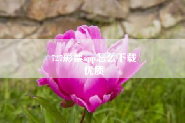 727彩票app怎么下载
优质  第37张