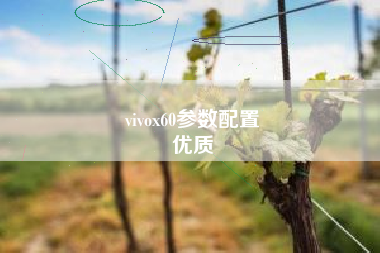 vivox60参数配置
优质  第25张