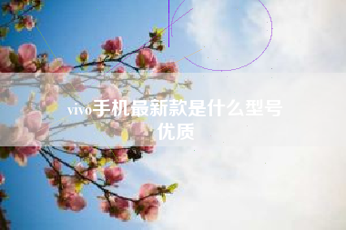 vivo手机最新款是什么型号
优质  第25张