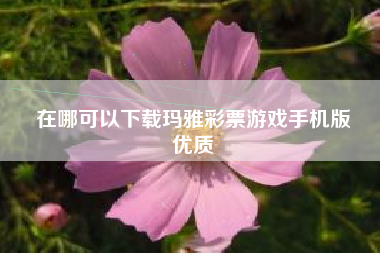 在哪可以下载玛雅彩票游戏手机版
优质  第37张