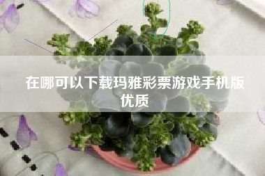 在哪可以下载玛雅彩票游戏手机版
优质  第36张