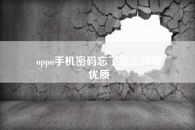 oppo手机密码忘了怎么开锁
优质  第35张