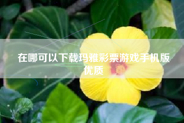 在哪可以下载玛雅彩票游戏手机版
优质  第35张