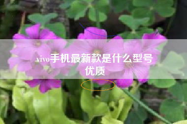 vivo手机最新款是什么型号
优质  第23张