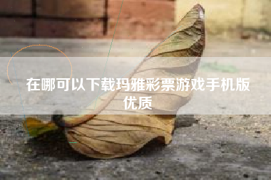 在哪可以下载玛雅彩票游戏手机版
优质  第33张