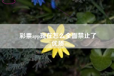 彩票app现在怎么全面禁止了
优质  第26张