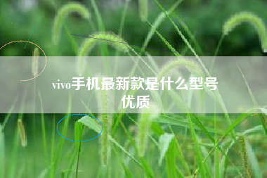 vivo手机最新款是什么型号
优质  第22张