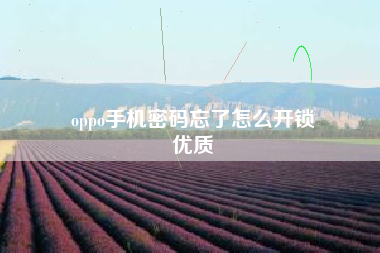 oppo手机密码忘了怎么开锁
优质  第34张