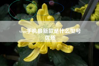 vivo手机最新款是什么型号
优质  第21张