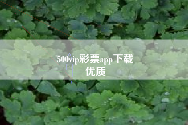 500vip彩票app下载
优质  第37张