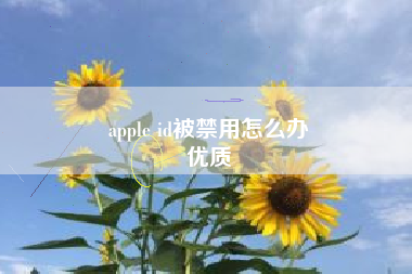 apple id被禁用怎么办
优质  第22张