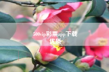 500vip彩票app下载
优质  第36张