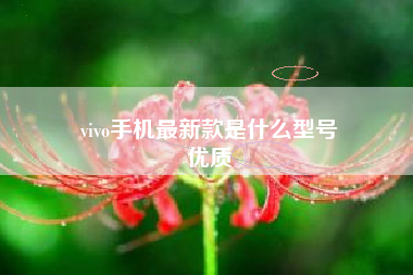 vivo手机最新款是什么型号
优质  第20张