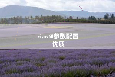 vivox60参数配置
优质  第20张