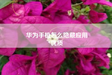 华为手机怎么隐藏应用
优质  第31张