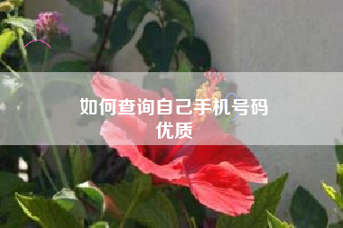 如何查询自己手机号码
优质  第30张